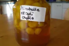 Mirabellen-Lik&ouml;r