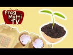 Pflanzen züchten und ziehen in Eierschalen | Frag Mutti TV