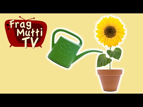 Pflanzen automatisch gießen im Urlaub - Frag Mutti TV