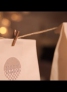 Sunny's Last Minute Adventskalender