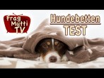 Hundebetten im Vergleich - Stoff vs. Kunstleder | Frag Mutti TV