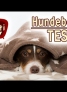 Hundebetten im Vergleich - Stoff vs. Kunstleder | Frag Mutti TV