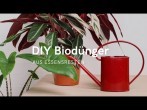 Bio-Dünger selber machen: 3 DIYs aus Küchenabfällen