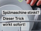 4 Zitronen-Tricks für den Alltag