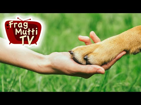Dunkle Hundekrallen schneiden | Frag Mutti TV