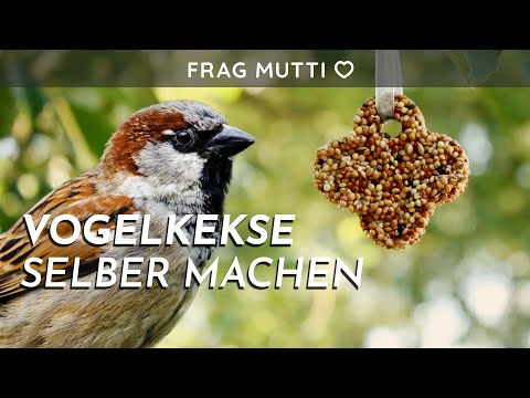 Vogelfutter-Kekse selber backen | Frag Mutti TV