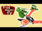 Rosen einfach schneiden | Frag Mutti TV