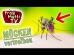 Mücken & Fliegen vertreiben | Frag Mutti TV