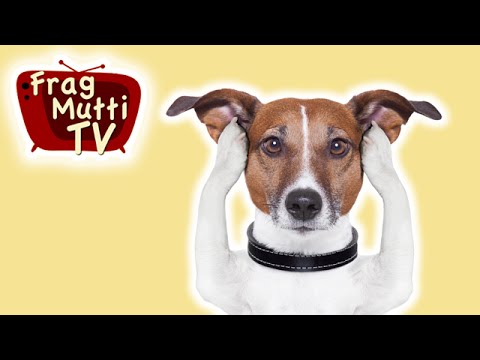 Hundeohren reinigen | Frag Mutti TV