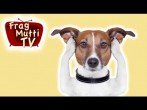 Hundeohren reinigen | Frag Mutti TV