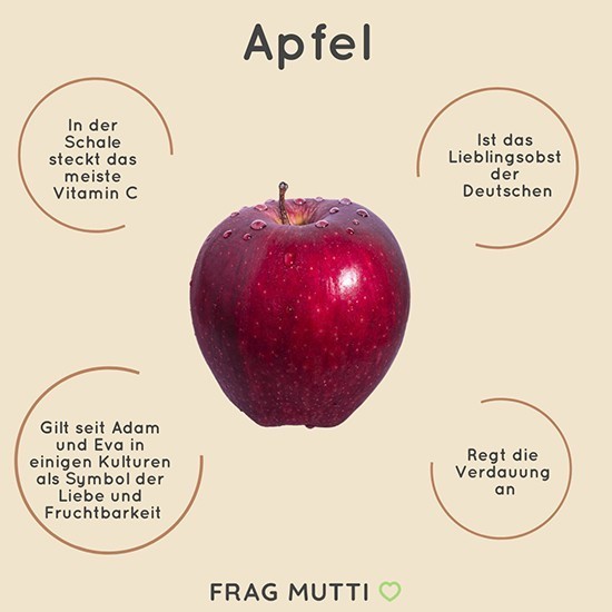 Der Apfel gilt als das Lieblingsobst der Deutschen. Das meiste Vitamin C steckt in der Schale.