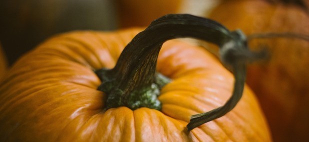 Die Herbstzeit ist die Zeit der Kürbisse. Das orangene Fruchtgemüse schmeckt nicht nur köstlich, sondern steckt auch voller Vitamine.