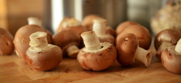 Der Champignon zählt zu den beliebtesten Speisepilzen. Bei Frag Mutti findest du leckere Rezeptideen zu Champignons und weiteren Pilzen.